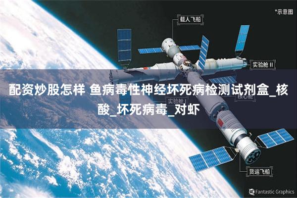 配资炒股怎样 鱼病毒性神经坏死病检测试剂盒_核酸_坏死病毒_对虾