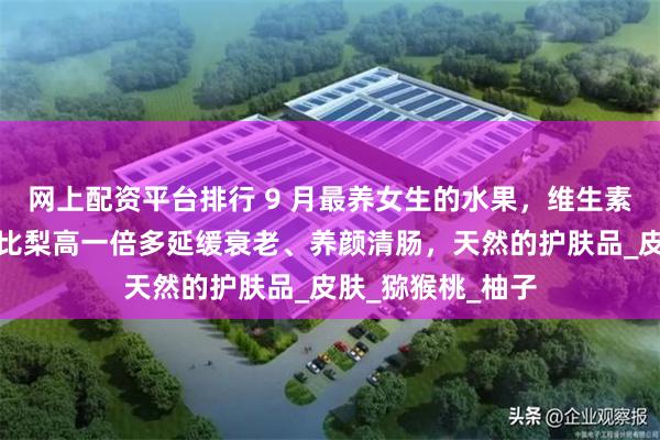网上配资平台排行 9 月最养女生的水果，维生素比苹果高两倍，比梨高一倍多延缓衰老、养颜清肠，天然的护肤品_皮肤_猕猴桃_柚子