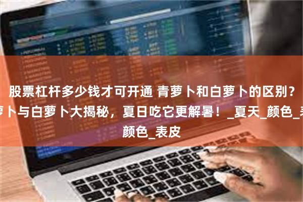 股票杠杆多少钱才可开通 青萝卜和白萝卜的区别？青萝卜与白萝卜大揭秘，夏日吃它更解暑！_夏天_颜色_表皮