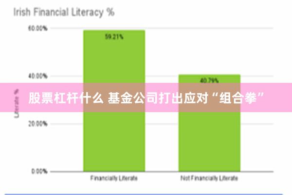 股票杠杆什么 基金公司打出应对“组合拳”