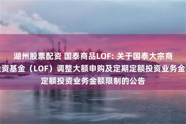 湖州股票配资 国泰商品LOF: 关于国泰大宗商品配置证券投资基金(LOF)调整大额申购及定期定额投资业务金额限制的公告