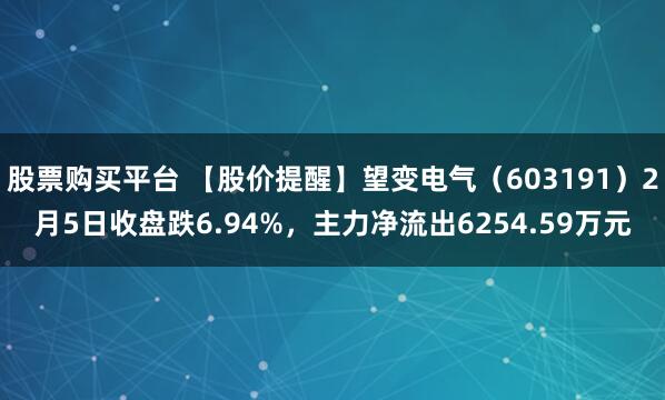 股票购买平台 【股价提醒】望变电气（603191）2月5日收盘跌6.94%，主力净流出6254.59万元